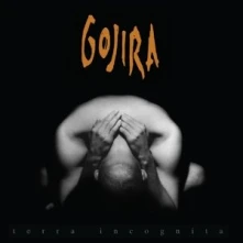 Vinyl TERRA INCOGNITA
