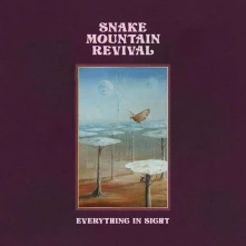 Snake Mountain Revival, Vinyl EVERYTHING IN SIGHT