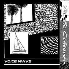 Vinyl VOICE WAVE
