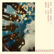 Bananagun, CD WHY IS THE COLOUR OF T...