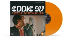 Vinyl LITTLE BLACK FLIES