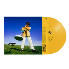 Vinyl What Happened To the Beach?