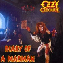 Vinyl Diary of a Madman