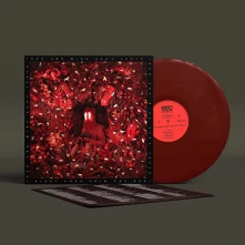 Iron & Wine, Vinyl HEN'S TEETH
