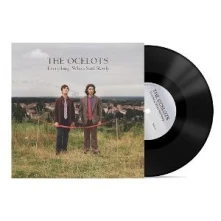 Vinyl EVERYTHING, WHEN SAID SLOWLY