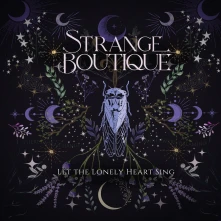 Vinyl LET THE LONELY HEART SING