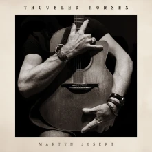 CD TROUBLED HORSES