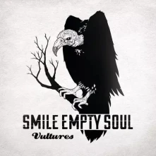 Vinyl Vultures