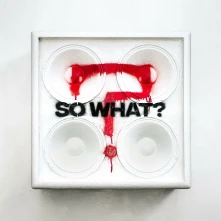 Vinyl SO WHAT?