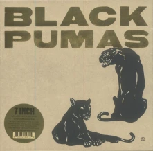 Vinyl BLACK PUMAS
