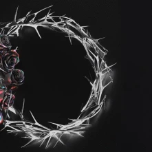 Vinyl DUAL (DUSK VERSION)