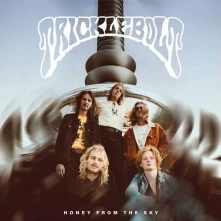 Vinyl HONEY FROM THE SKY