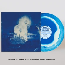Vinyl FRUIT BATS - A RIVER RUNNING TO YOUR HEART