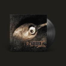 Vinyl LIVE AT BBC