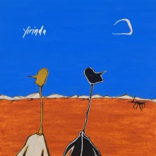 Vinyl Yirinda - Yirinda