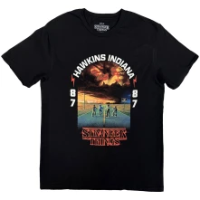 Stranger Things - Hawkins 008