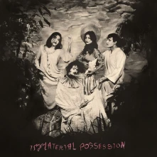 Vinyl IMMATERIAL POSSESSION