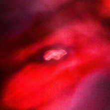 Vinyl Amini, Siavash -& ... - Faded Orbit