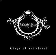 Vinyl WINGS OF ANTICHRIST