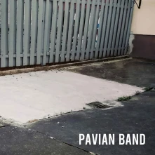 CD PAVIAN BAND
