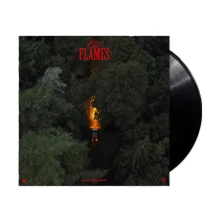 Vinyl OLD FLAMES