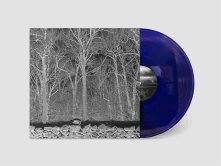 Vinyl SUNSHINE AND BALANCE B...