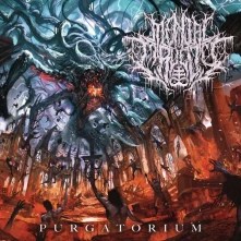 Vinyl Purgatorium (Re-Issue 2022)