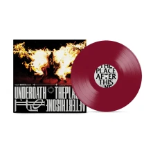 Vinyl PLACE AFTER THIS ONE