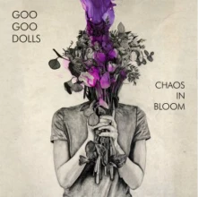 Vinyl CHAOS IN BLOOM