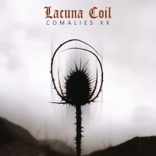 Vinyl Comalies Xx