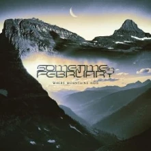 Vinyl Where Mountains Hide