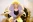 Alison Goldfrapp