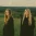First Aid Kit