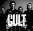The Cult