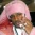 Cam'ron