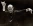 Georg Solti