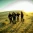 Of Mice & Men