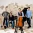 The Piano Guys