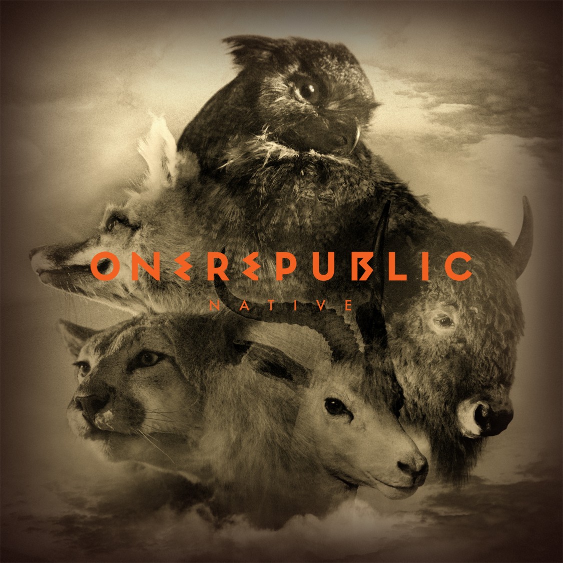 CD One Republic - Native
