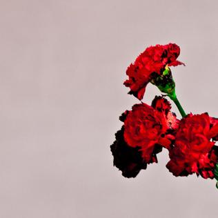 CD John Legend - Love In The Future