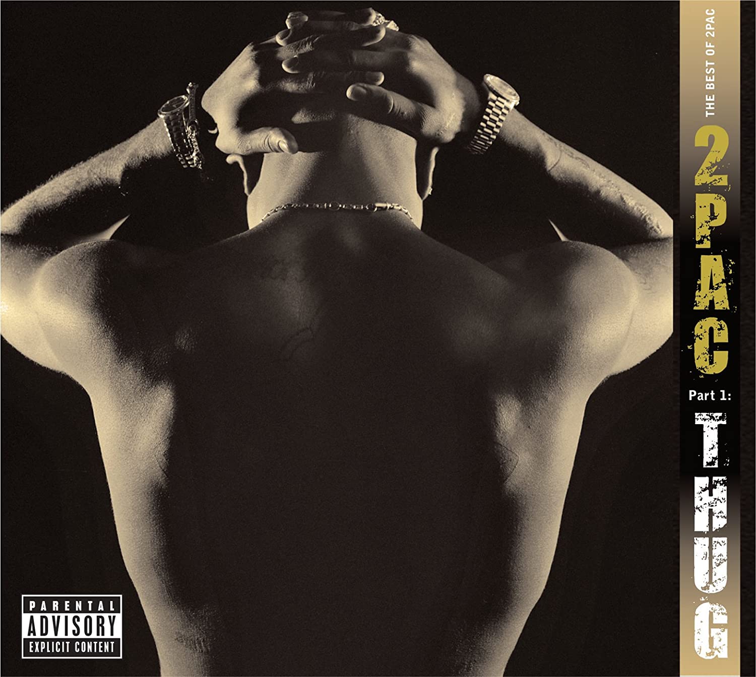 Vinyl 2Pac - The Best Of 2Pac - Part 1: Thug