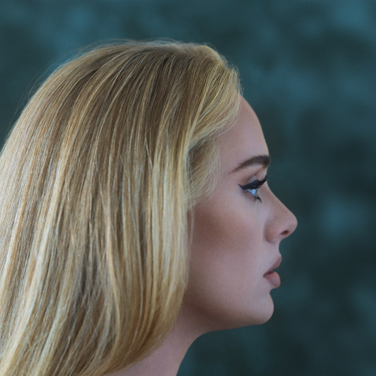 Vinyl Adele - 30