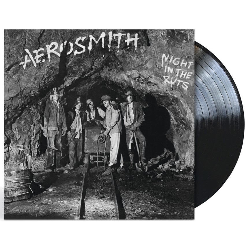 Vinyl Aerosmith - Night In The Ruts