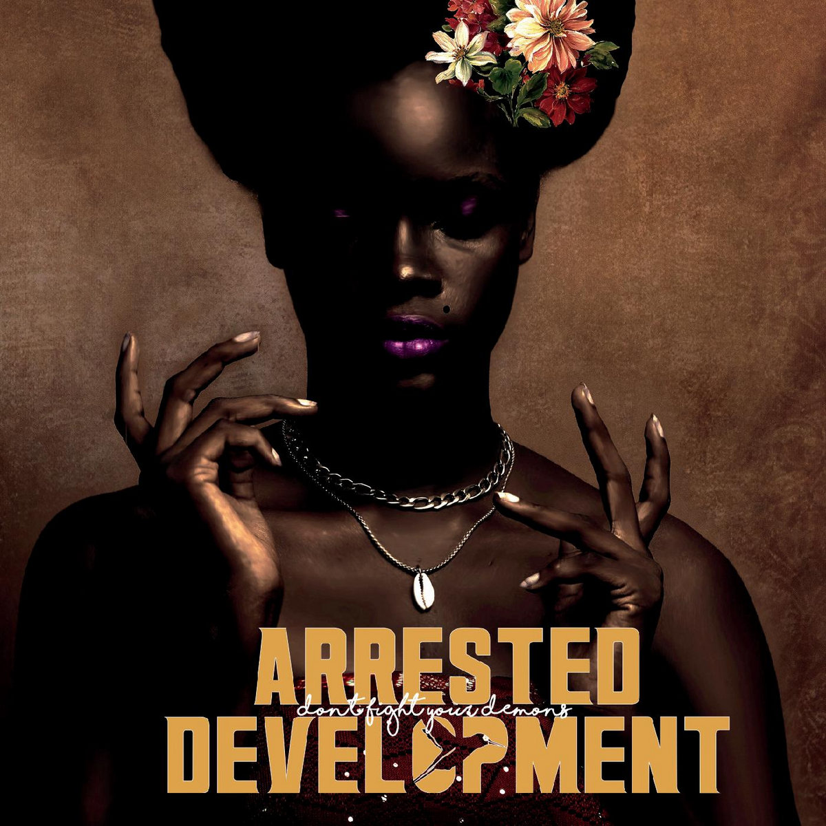 Vinyl Arrested Development - Don't Fight Your Demons