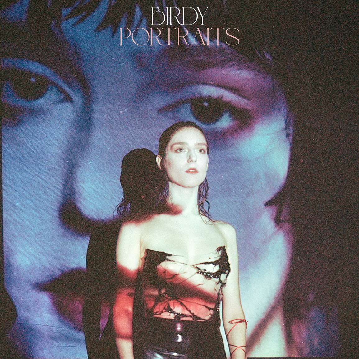 CD Birdy - Portraits