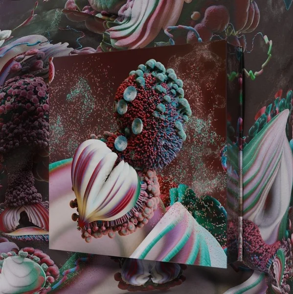 Vinyl Björk - Fossoræ (Deluxe Edition)