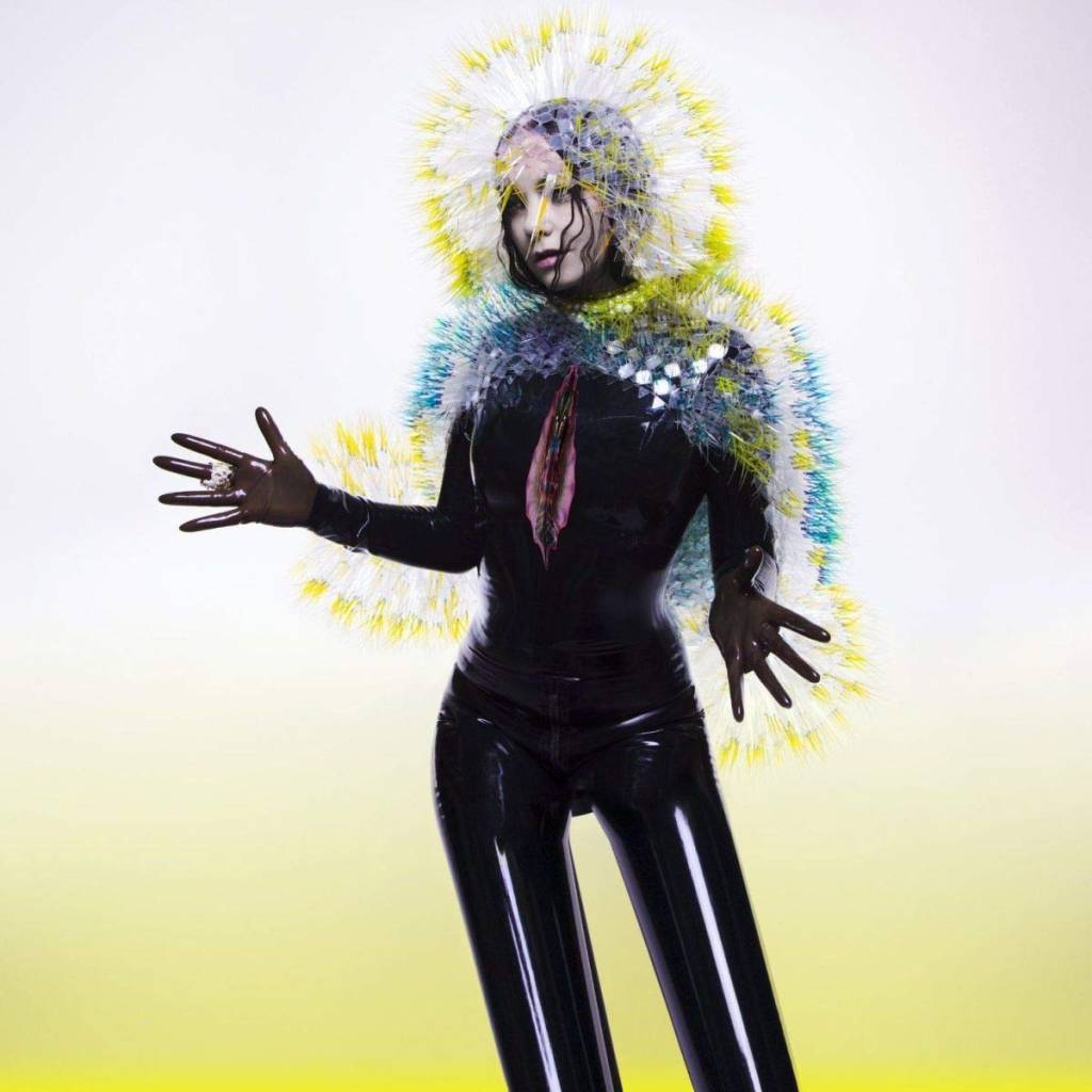 Vinyl Björk - Vulnicura
