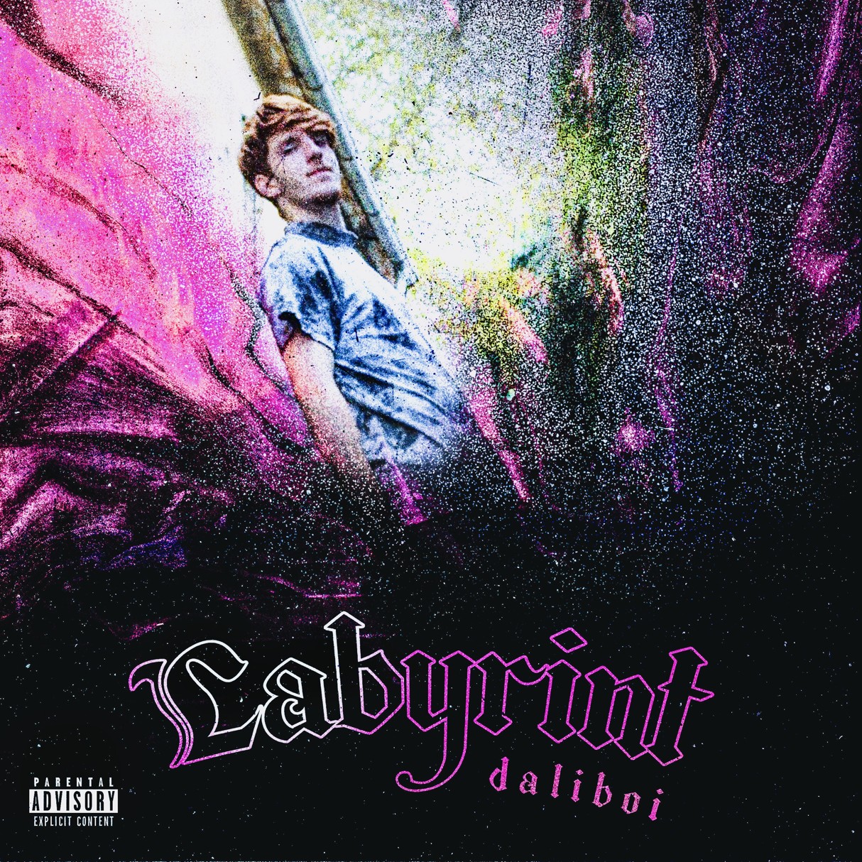 CD Daliboi - Labyrint
