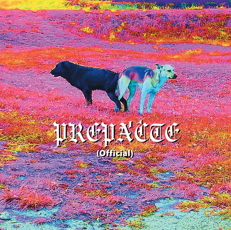 CD DMS - Prepáčte