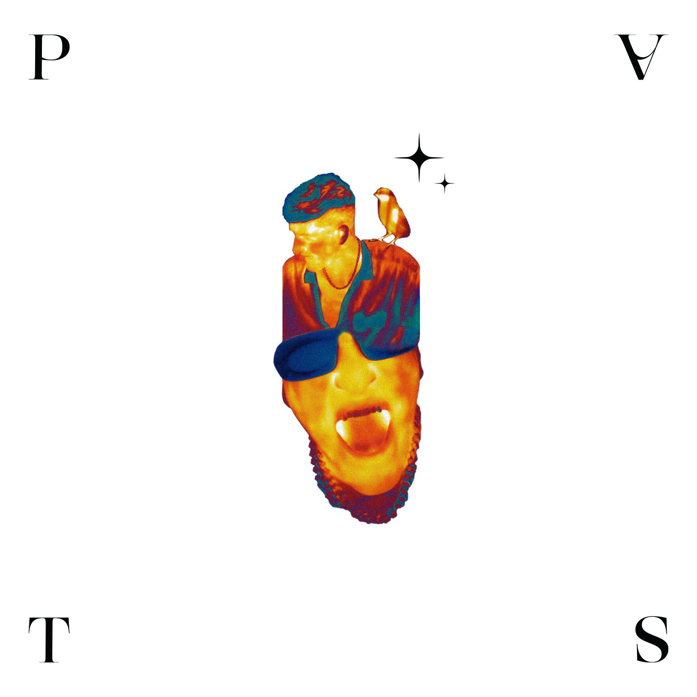 CD Forgen - PVST